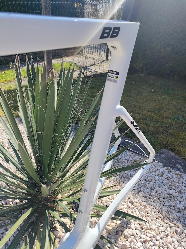 CADRE LEHNA CALI (homologué UCI constructeur) - 2